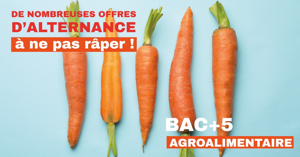 des offres à ne pas rater
