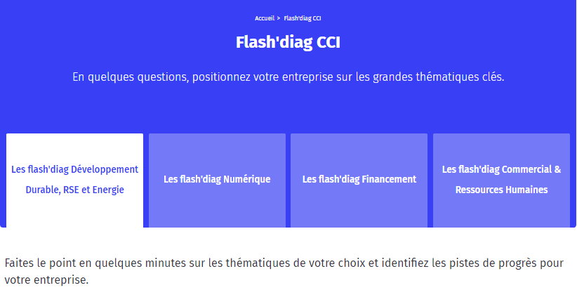 LES FLASH DIAG CCI