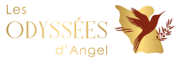 Les odysees d'angel