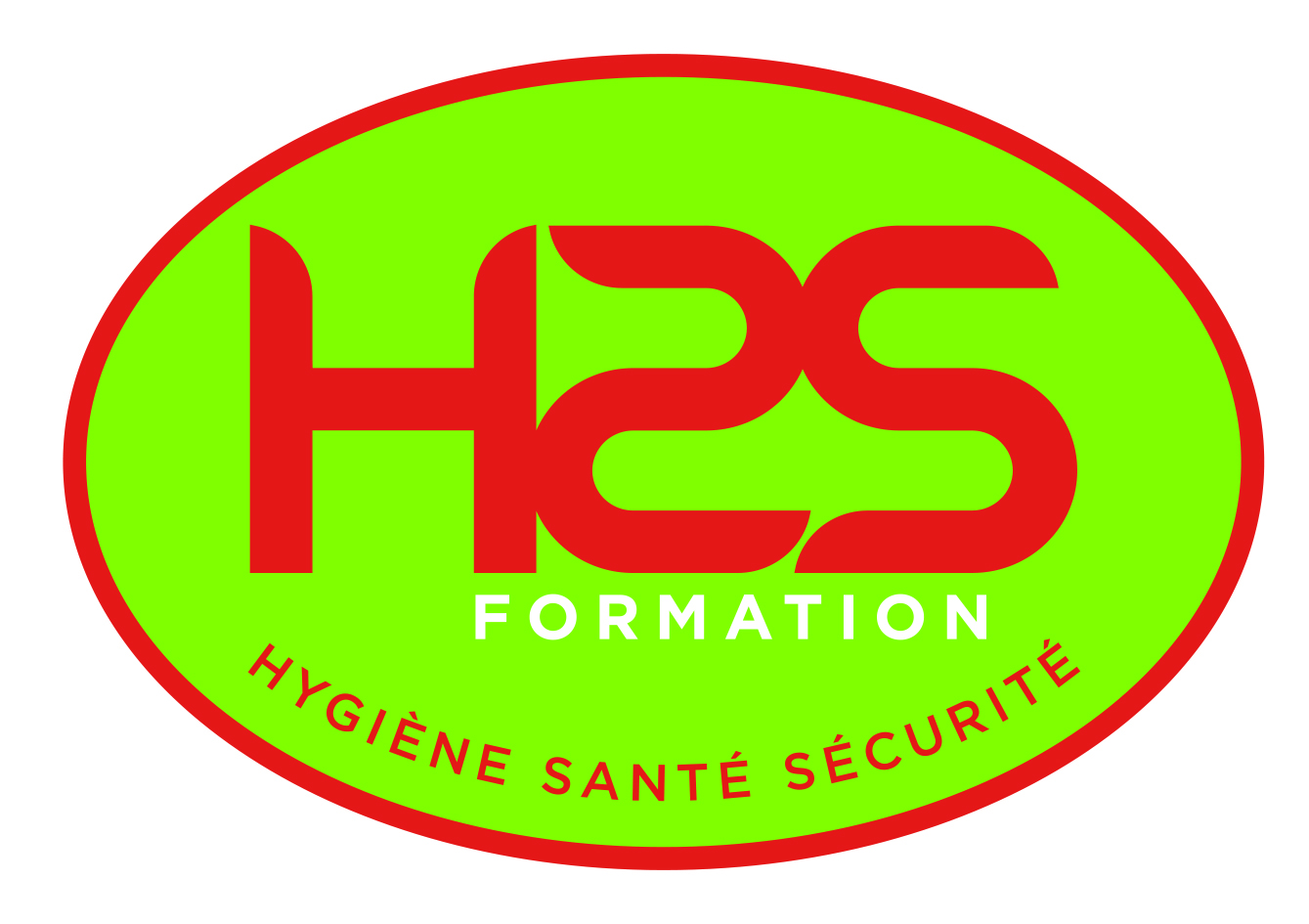 LOGO h2s formation