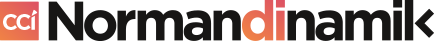 Logo normandinamik