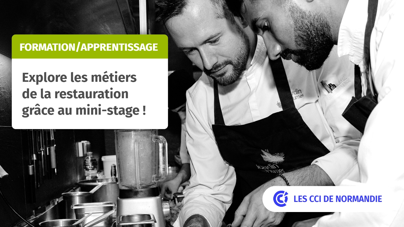 mini stage découverte en restaurantion