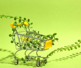 le e commerce se met au vert