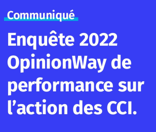 Enquête action des CCI