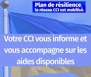 aide plan résilience