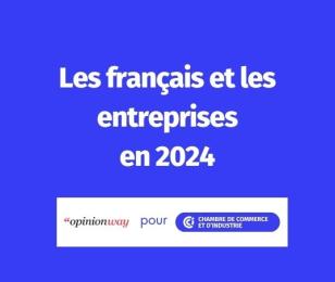 Les français et les entreprises en 2024