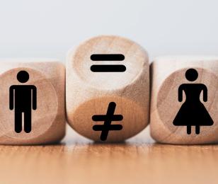 index égalité hommes femmes