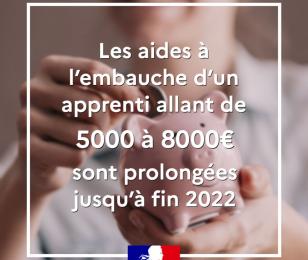 Prolongement aides embauche