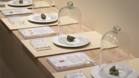 maison sativa 1.png